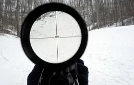 Как выбрать прицел для охоты: важные характеристики