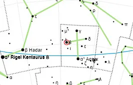 Звезда Мимоза, или Бекрукс: характеристики и особенности