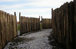 Гозекский круг