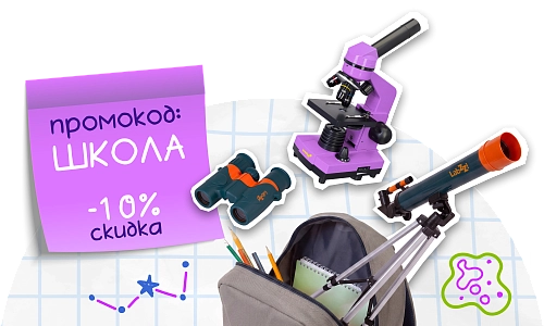 Такое не выдадут в школе