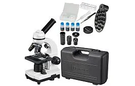 Чем заняться школьникам на карантине?