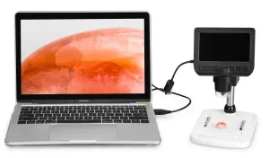 Микроскоп цифровой Levenhuk DTX 300 LCD, изображение 13