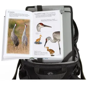 Сумка LowePro Field Station (Dark Olive), изображение 3