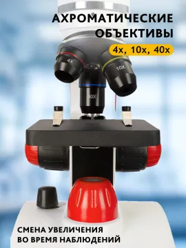 Микроскоп Levenhuk Discovery Pico с книгой, изображение 18