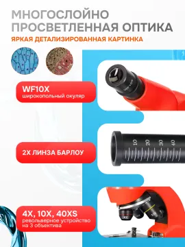 Микроскоп Levenhuk Rainbow 50L, изображение 22