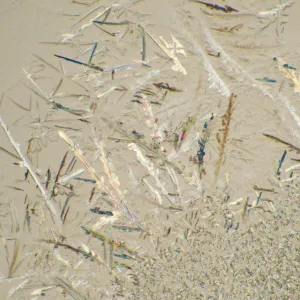 Микроскоп биологический MAGUS Bio D230T LCD, изображение 29