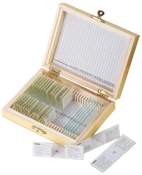 Набор микропрепаратов Konus 15: «Размножение беспозвоночных», изображение 2