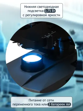 Микроскоп цифровой Levenhuk D320L PLUS, 3,1 Мпикс, монокулярный, изображение 34