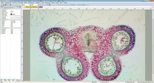 Видеоокуляр ToupCam 5,1 Мпикс (UCMOS05100KPA), изображение 6